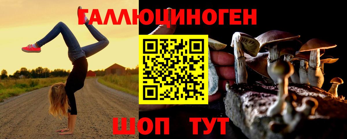 где продают   Вход с VPN  Екатеринбург  Псилоцибиновые грибы Psilocybe 